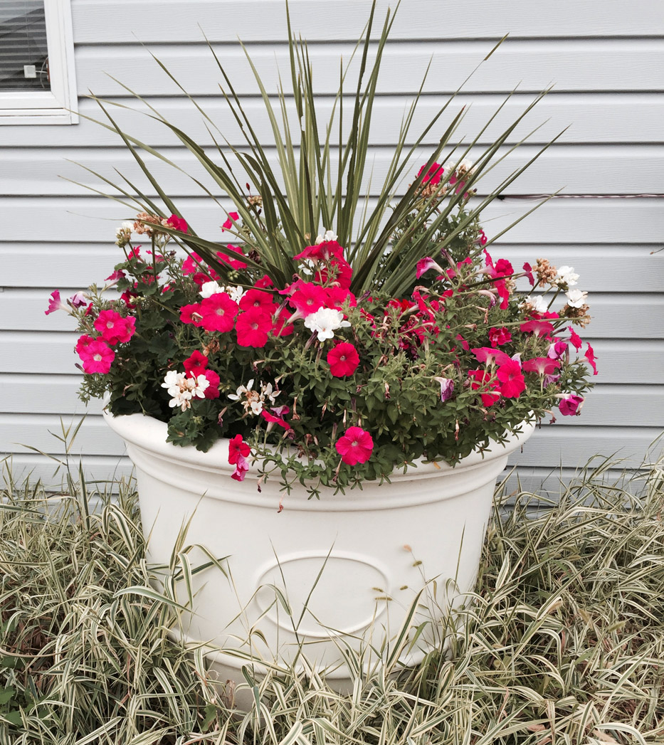 Fiberglass Planters